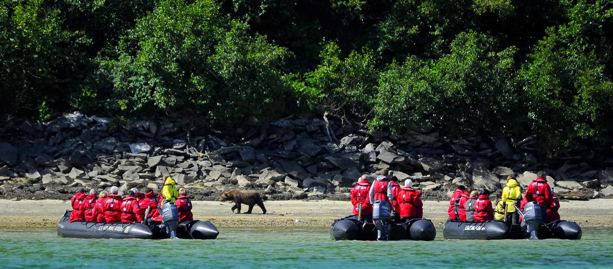 The impressive number of Zodiacs make landings possible, which your guests will remember forever.
