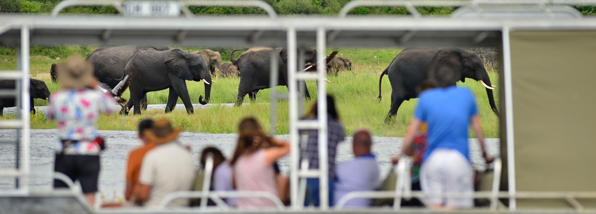 Safari mit besten Aussichten versprechen Flusskreuzfahrt-Incentives auf dem Sambesi River in Botswana.