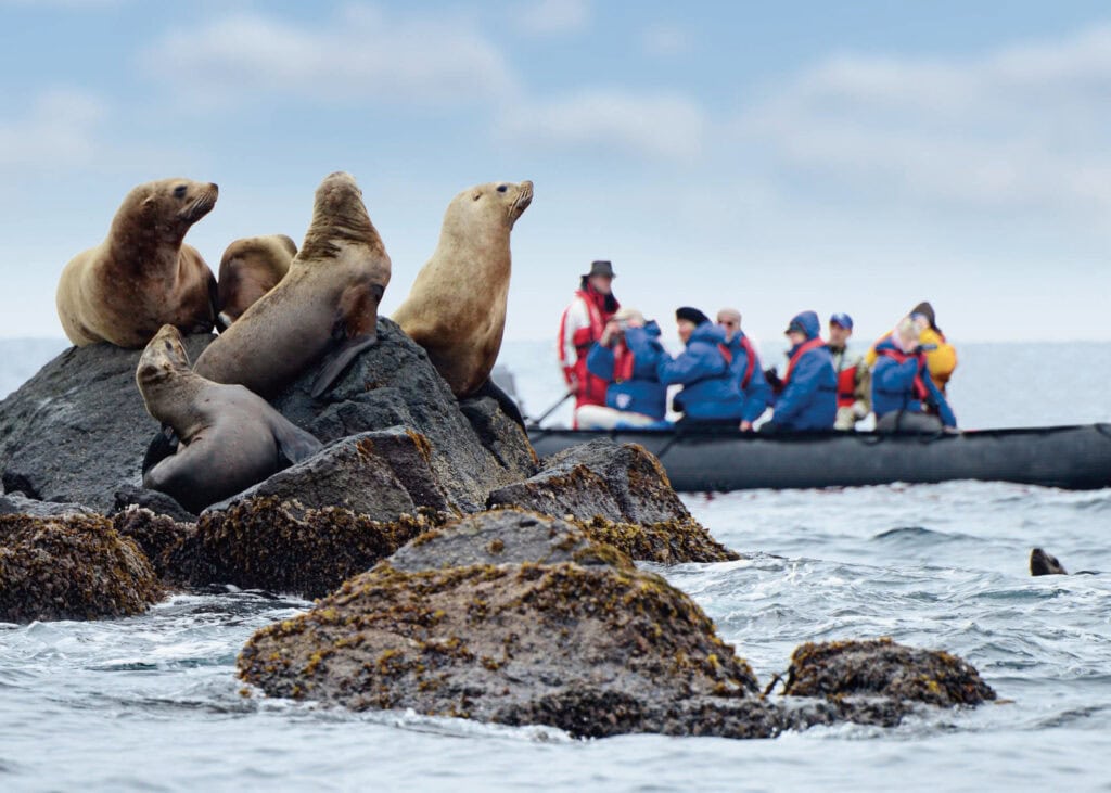 OceanEvent Expedition - Environmentally friendly cruise ship up to 230 pax 