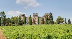 River Cruise in Provence with OceanEvent - Châteauneuf-du-Pape