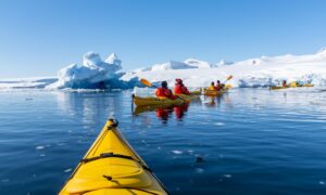 Incentive Reise als Expeditions-Kreuzfahrt mit OceanEvent bis 200 Pax in die Arktis / Antarktis - Kayak