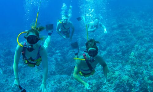 Kreuzfahrtcharter an der Côte d'Azur mit OceanEvent