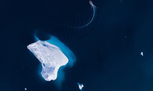 Expeditionskreuzfahrt in Arktis und Antarktis chartern bis 184 Gäste - bei OceanEvent