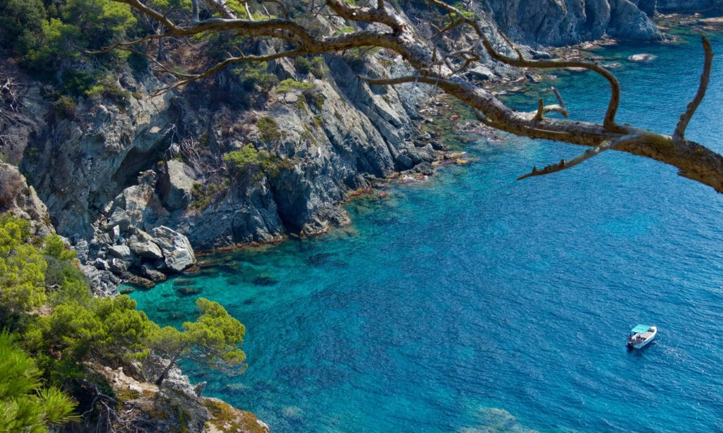 5-Mast Sailing Ship for Events | Exclusive Charter with OceanEvent