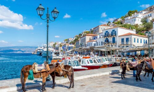 Corporate Incentive cruise for 176 guests with OceanEvent