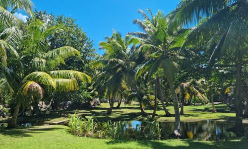 Seychelles Full Ship Charter 2027: Up to 124 Guests with OceanEvent