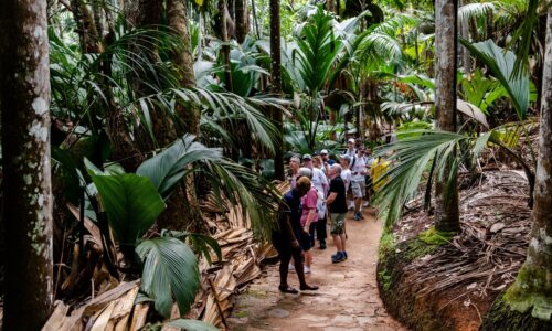 Seychelles Full Ship Charter 2027: Up to 124 Guests with OceanEvent
